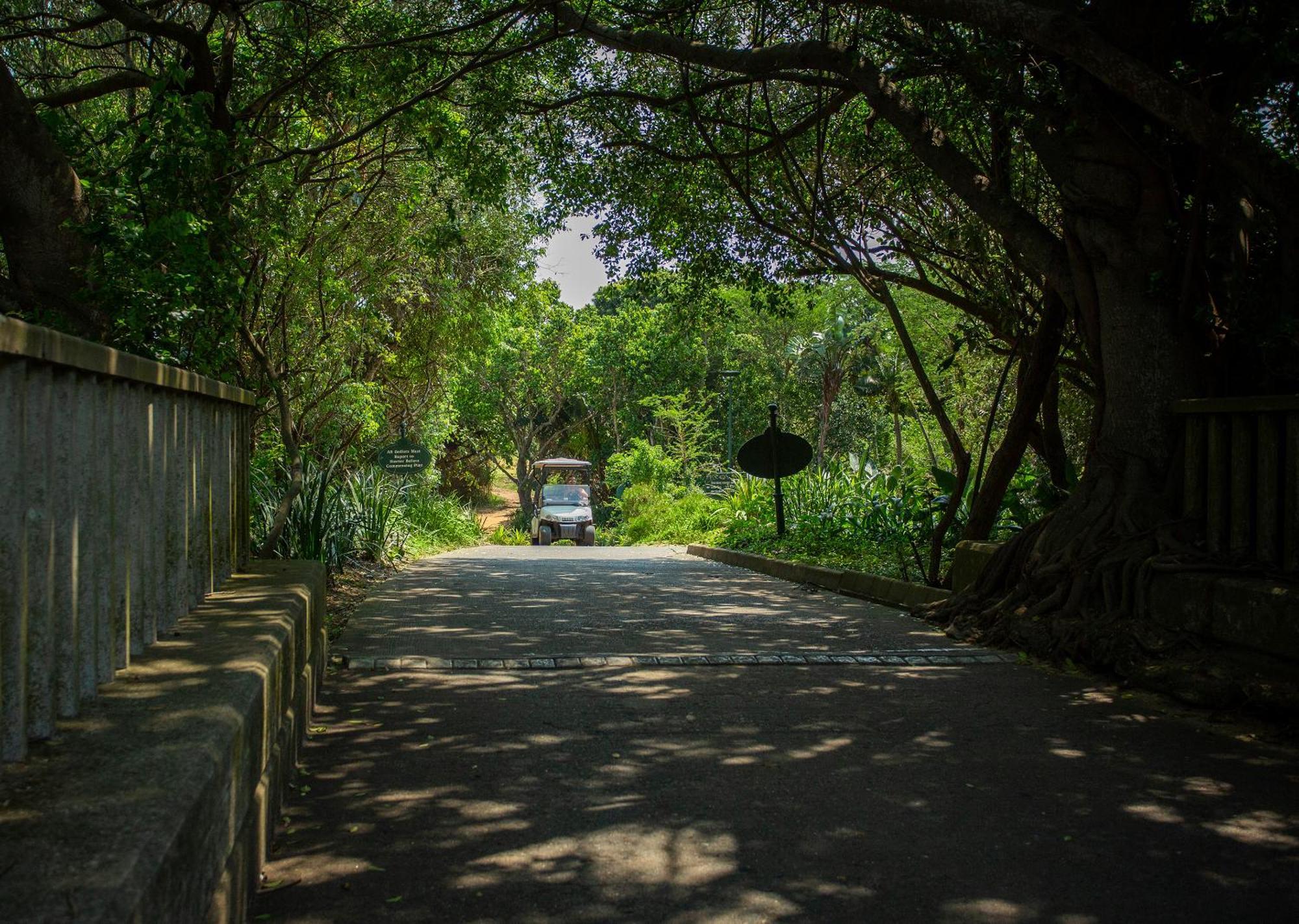 Zimbali By Dream